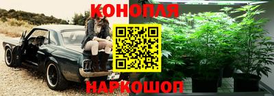 бошки Волжский