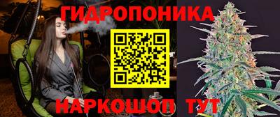 бошки Волжский