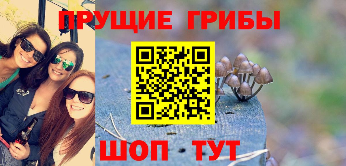 Галлюциногенные грибы GOLDEN TEACHER  Вход с VPN  Мыски 